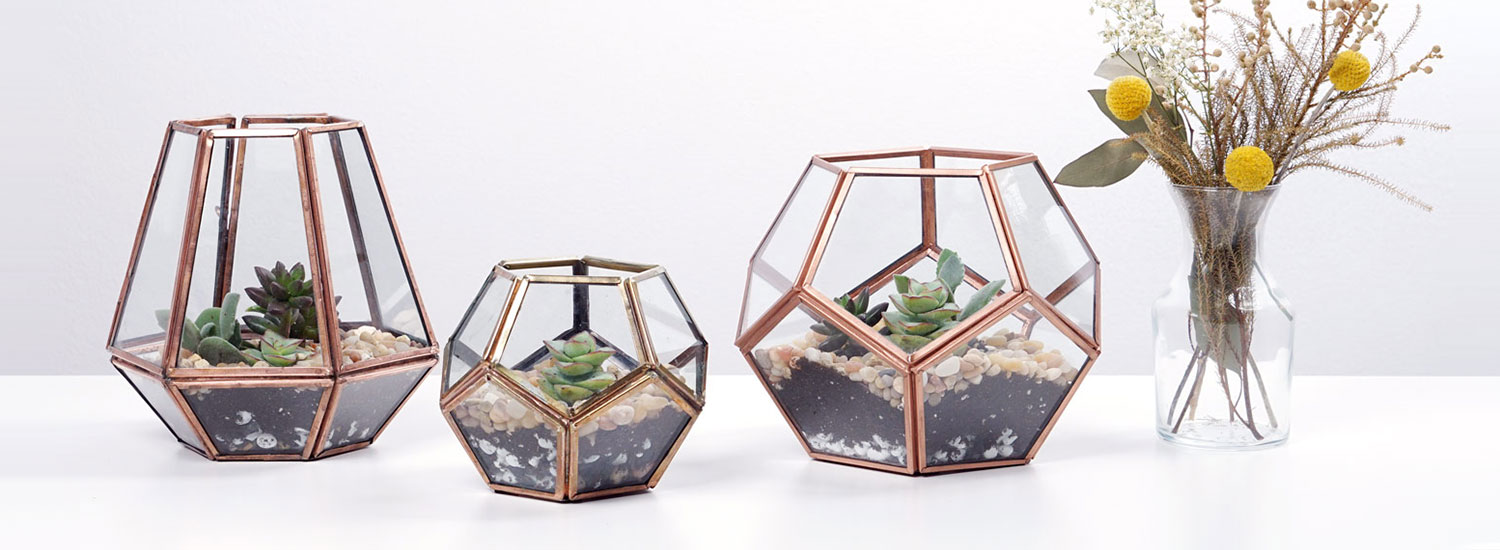 Terrarium