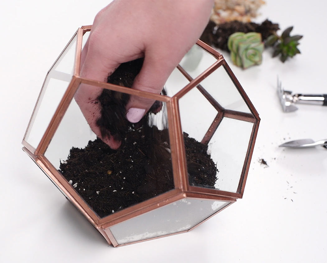 Soil