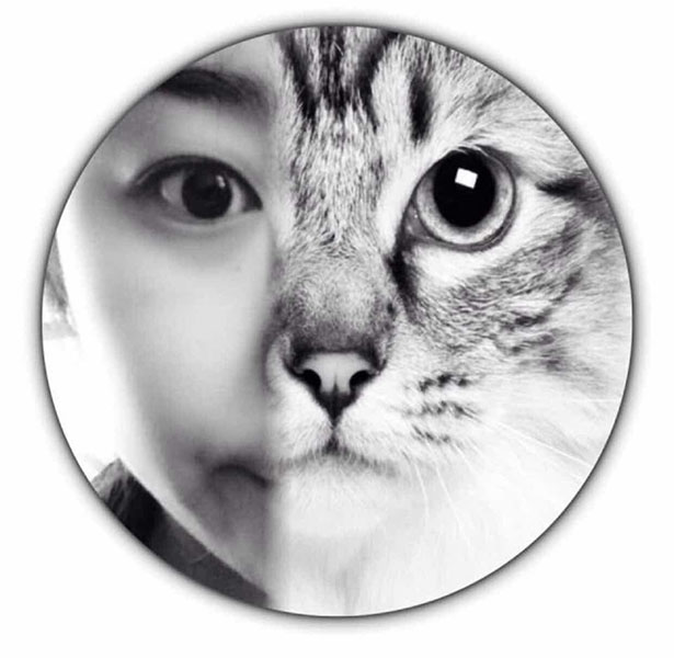 Cat/Face