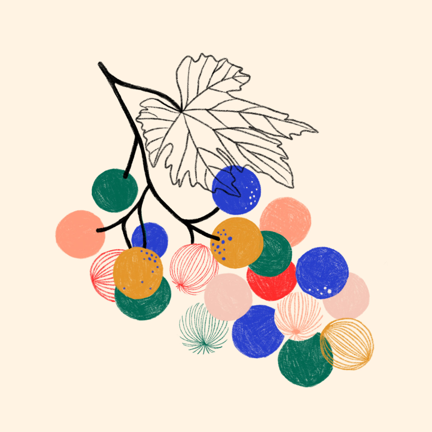 Grapes