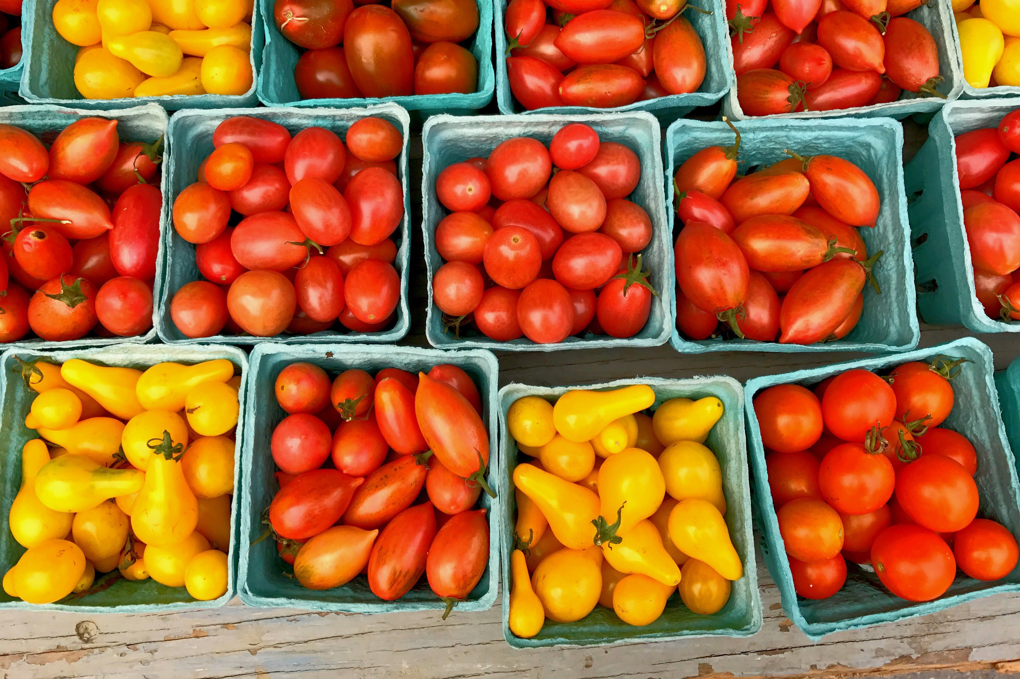 Union Square Greenmarket, New York