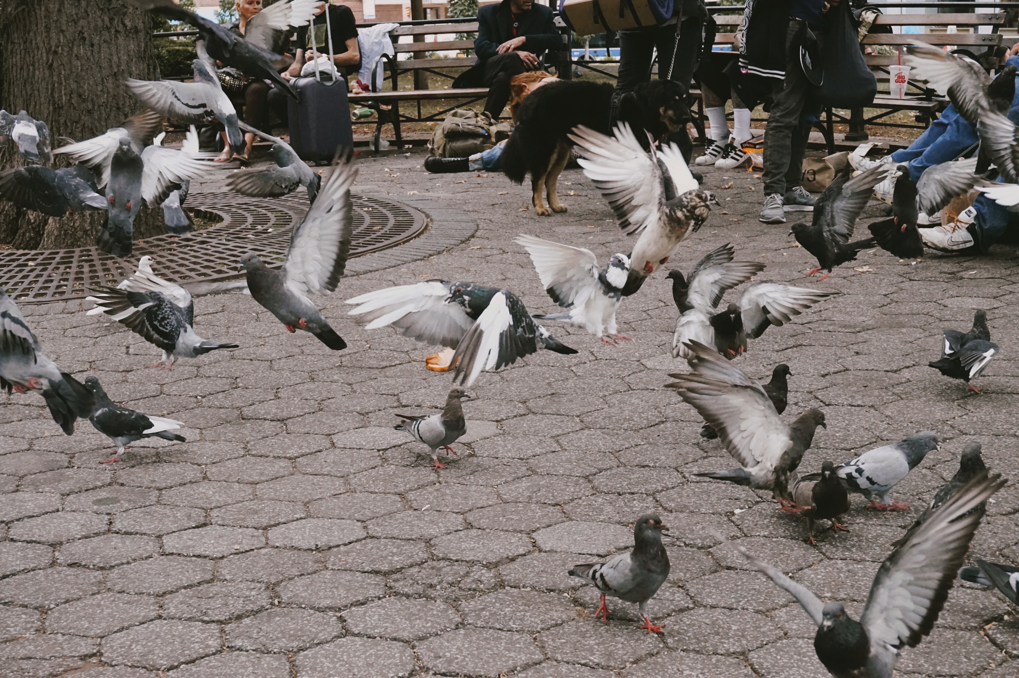 Union Square, New York