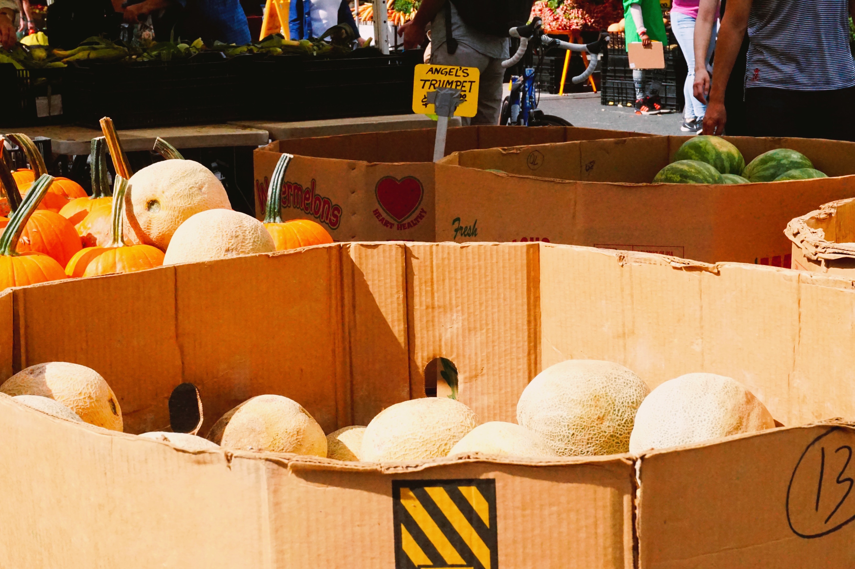 Union Square Greenmarket, New York
