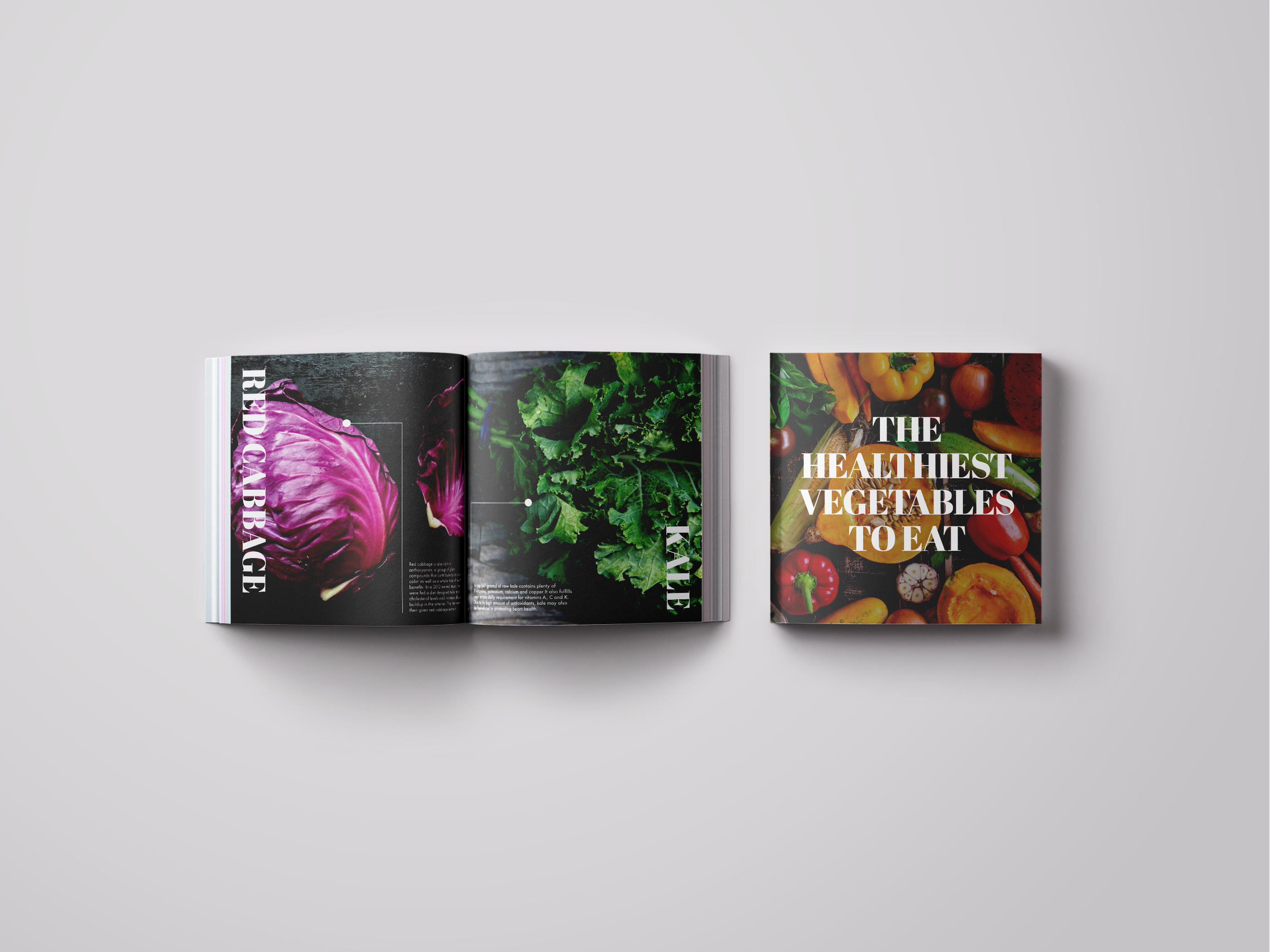 Magazine Design